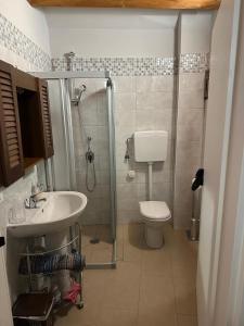 a bathroom with a shower and a toilet and a sink at IL CASTAGNETO Room in Pietraroia