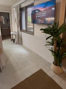 a hallway with a potted plant and a tv at Modern & Cozy Studio for 2 in Saronida Steps from the Beach in Saronida