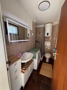 a small bathroom with a sink and a toilet at Villa Alexa Cesarica in Cesarica +21 photos