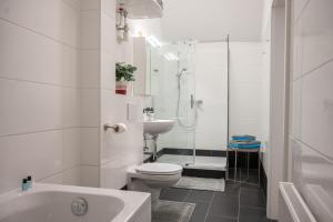 a bathroom with a toilet and a shower and a sink at Paky Appartements 00323 in Bruck an der Leitha