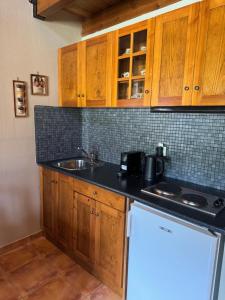 a kitchen with wooden cabinets and a sink at Frigias 4 in Arachova