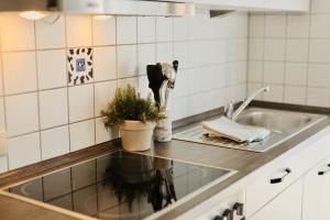 a kitchen counter with a sink and a potted plant at Ferienhof Egger in Tettnang +189 photos