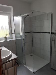 a bathroom with a glass shower and a sink at Erholung am Deich in Kollmar +19 photos