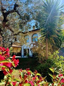 a house with a palm tree in front of it at Villetta di Laura in Villa San Leonardo +11 photos