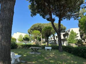 a picnic table and bench in a park with trees at CORALLO 31 con Piscina in Lido delle Nazioni