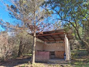 a building with a wooden door and a tree at Green Nomad in Hogsback