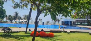 a large swimming pool with orange balls in a park at Villas 930 Oceanami in Long Hai