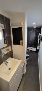 a bathroom with a sink and a toilet in a room at La casa valentine in Calais