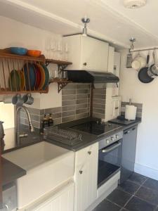 a kitchen with a sink and a stove at The Old Stable in Abergavenny