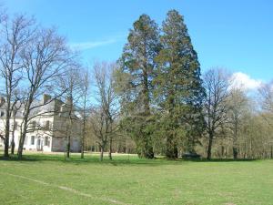 deux grands arbres dans un champ devant une maison dans l'établissement Château de Bois Renard, à Saint-Laurent-Nouan