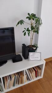 a tv sitting on top of a white shelf with a plant at Apartamento Markina Xemein in Marquina-Jemein