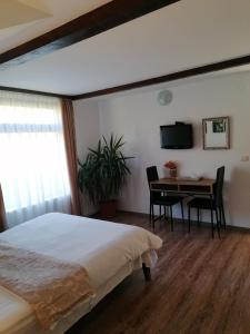 a bedroom with a bed and a desk and a television at Cabana Gabriel Bucovina in Vatra Dornei