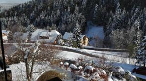 una casa está cubierta de nieve con árboles en Haus Akelei, en Todtmoos