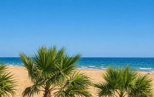 a group of palm trees on a beach with the ocean at Sunset Sails 2 Apartment in Langstrand +20 photos