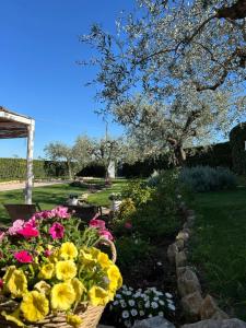 a basket filled with flowers in a garden at Casa Adriano-Dimora per vacanze in Ripa Teatina
