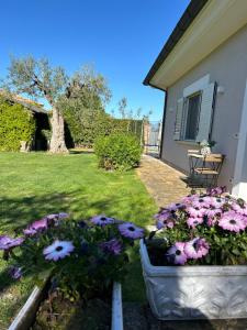 a garden with flowers in a pot next to a house at Casa Adriano-Dimora per vacanze in Ripa Teatina +40 photos
