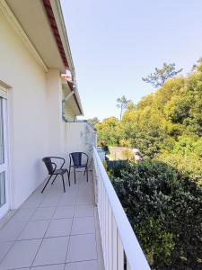 a balcony with chairs and a view of trees at Concha de Moledo in Moledo +14 photos