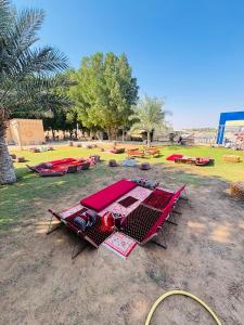 a picnic table on the ground in a park at Desert Safari in Margham