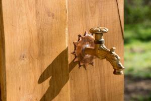 a bronze door knob on a wooden door at Magnifique kiosque verdoyant in Semur-en-Auxois