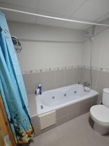 a bathroom with a bath tub and a toilet at Altet San Francisco in El Alted