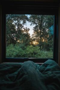 a bed looking out of a window at a forest at Adhara in Tarporley