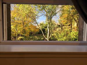 an open window with a view of trees at Stylish Edinburgh Studio in Edinburgh +4 photos