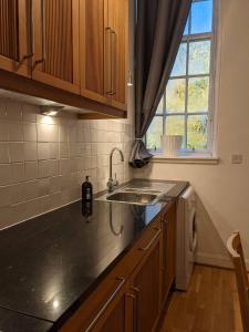 a small kitchen with a sink and a window at Stylish Edinburgh Studio in Edinburgh