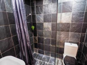 a bathroom with a toilet and a shower with a plant at Stylish Edinburgh Studio in Edinburgh