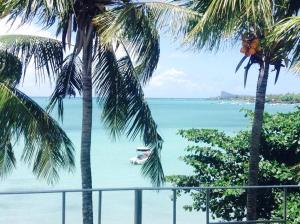 a view of the ocean from a balcony with palm trees at Ven OCEAN VIEW in Grand-Baie