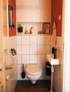 a small bathroom with a toilet and a sink at Kintsugi in Alphen aan den Rijn +14 photos