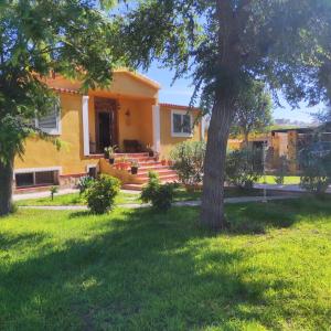a yellow house with a tree in the yard at Eva luna san juan in Alicante