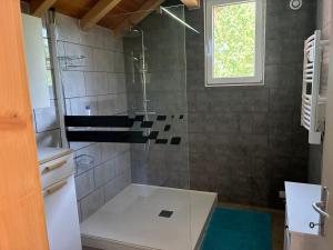 a bathroom with a shower with a glass door at Chalet de montagne, très confortable, neuf in LʼArgentière-la-Bessée +26 photos