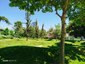 a park with green grass and a tree at Friends Home in Tirana