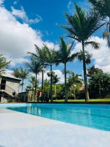 a swimming pool with palm trees in the background at Joster Hotel Kasangati in Kasangati