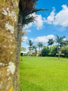 a palm tree in a park with green grass at Joster Hotel Kasangati in Kasangati