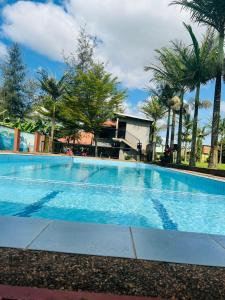 a large swimming pool with palm trees in the background at Joster Hotel Kasangati in Kasangati
