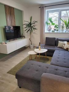 a living room with a couch and a table at Apartment u Ježků in Sebranice