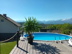 a swimming pool with a palm tree on a wooden deck at Casa Lieselotte in Velden am Wörthersee