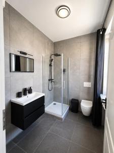 a bathroom with a shower and a sink and a toilet at FeWo- Room Rental Rheine in Rheine +15 photos