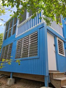 a blue house with a white door and windows at Neptunes Home in Saint John
