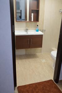 a bathroom with a sink and a toilet and a mirror at Spacious Apartment in Amman +13 photos
