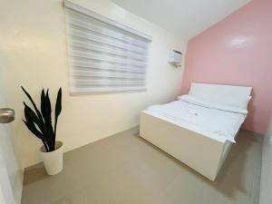 a small room with a bed and a plant at Casa Serenity Transient House in General Trias
