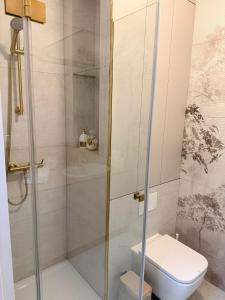 a bathroom with a toilet and a shower at Olimpia Luxury Apartment in Lębork