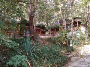 Zahrada ubytování Nimpha Bungalows