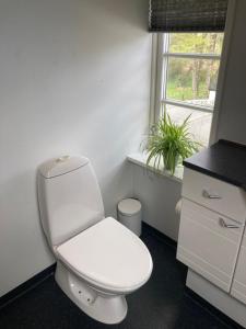 a white bathroom with a toilet and a window at Private country side apartment in Holstebro +29 photos