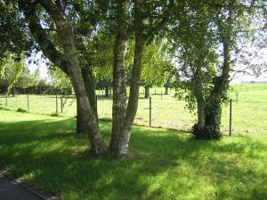 two trees in a grassy field with a fence at The Cosy Hill in Poperinge