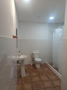 a bathroom with a toilet and a sink and a shower at Nest Room in Alicante +3 photos