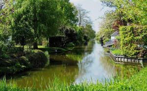 a river with trees and bushes at Camping de Boerenzwaluw in Zijdewind
