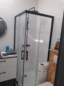 a glass shower in a bathroom with a toilet at Independent studio in Pont-lʼAbbé