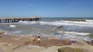 una persona y un perro caminando por la playa con un muelle en Apartamento Miramar II en Miramar